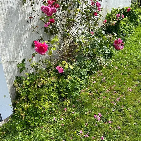 Homestay Chez Eric Saint-Saens