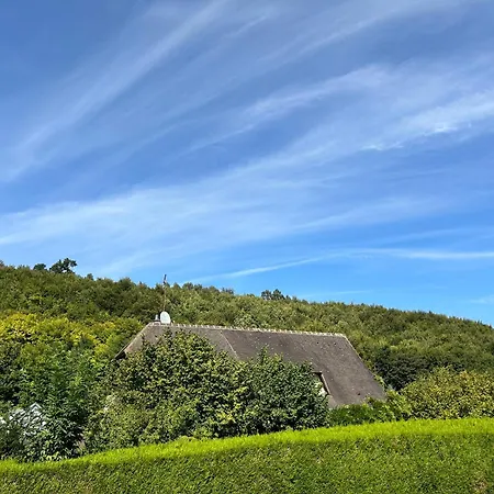 Chez Eric * Saint-Saens